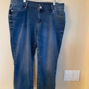 Seven7 Blue Skinny Jeans with Subtle Fading Sz.16W